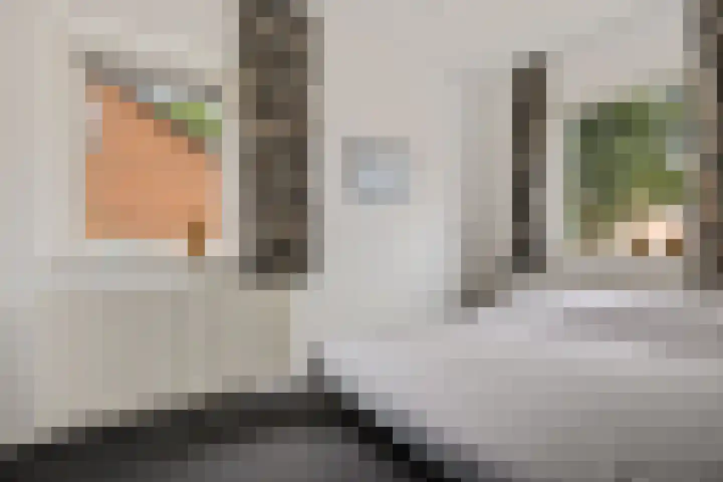 Staartmees 23 Emmen thumbnail 19