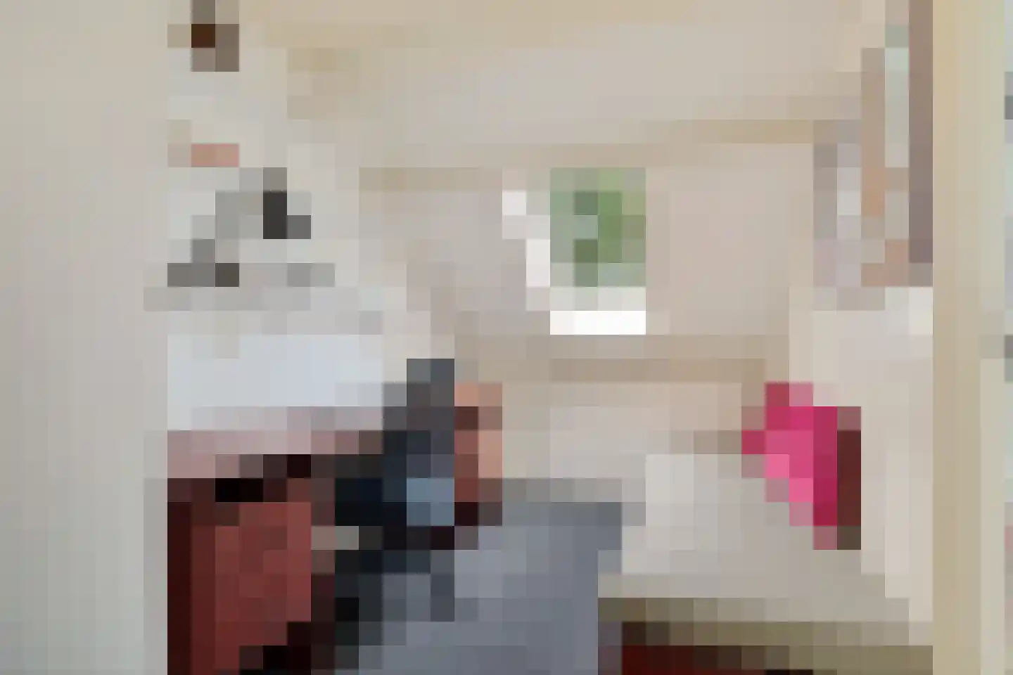 Staartmees 23 Emmen thumbnail 28