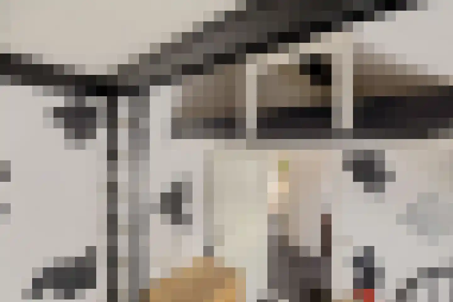 Staartmees 23 Emmen thumbnail 34