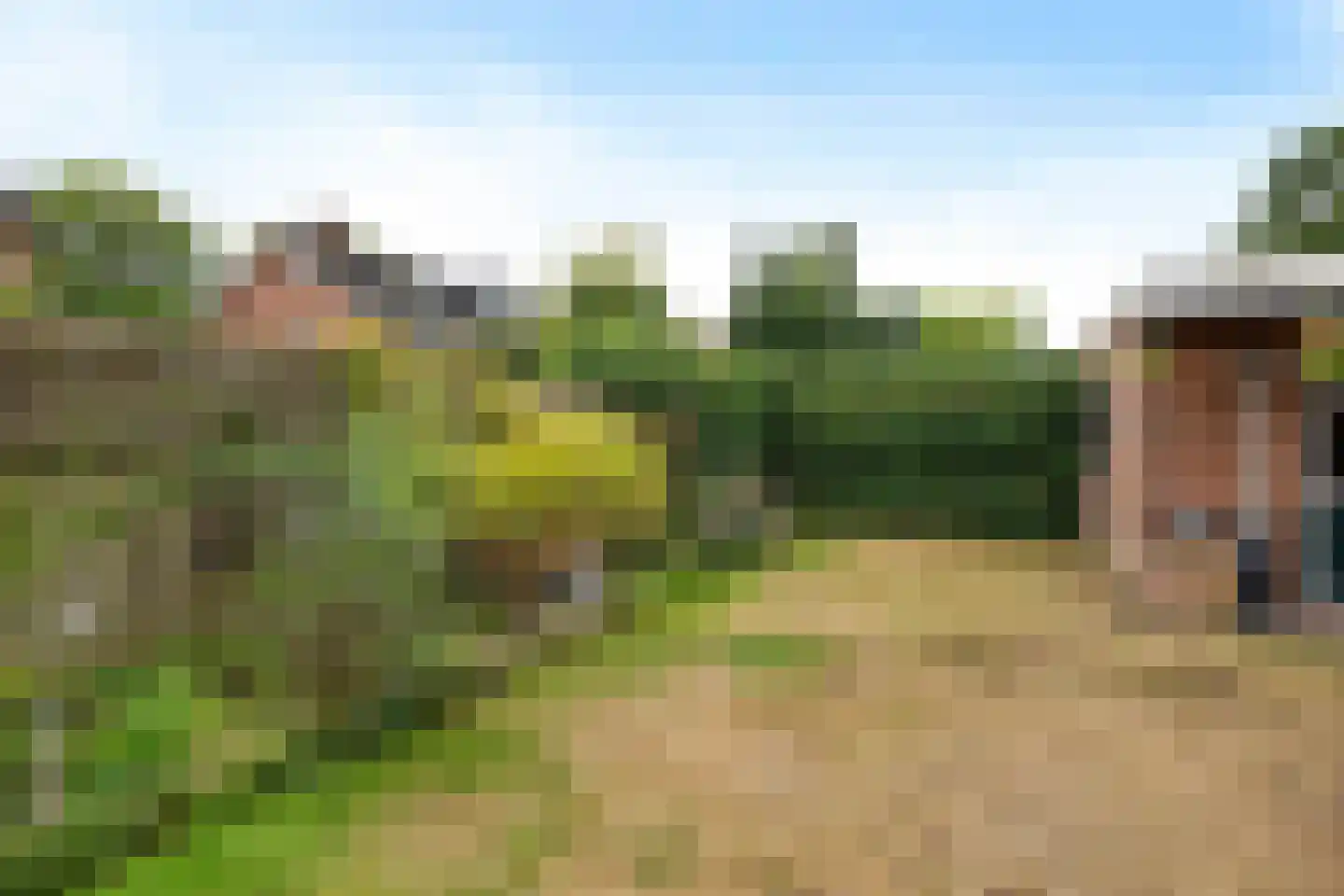 Staartmees 23 Emmen thumbnail 37