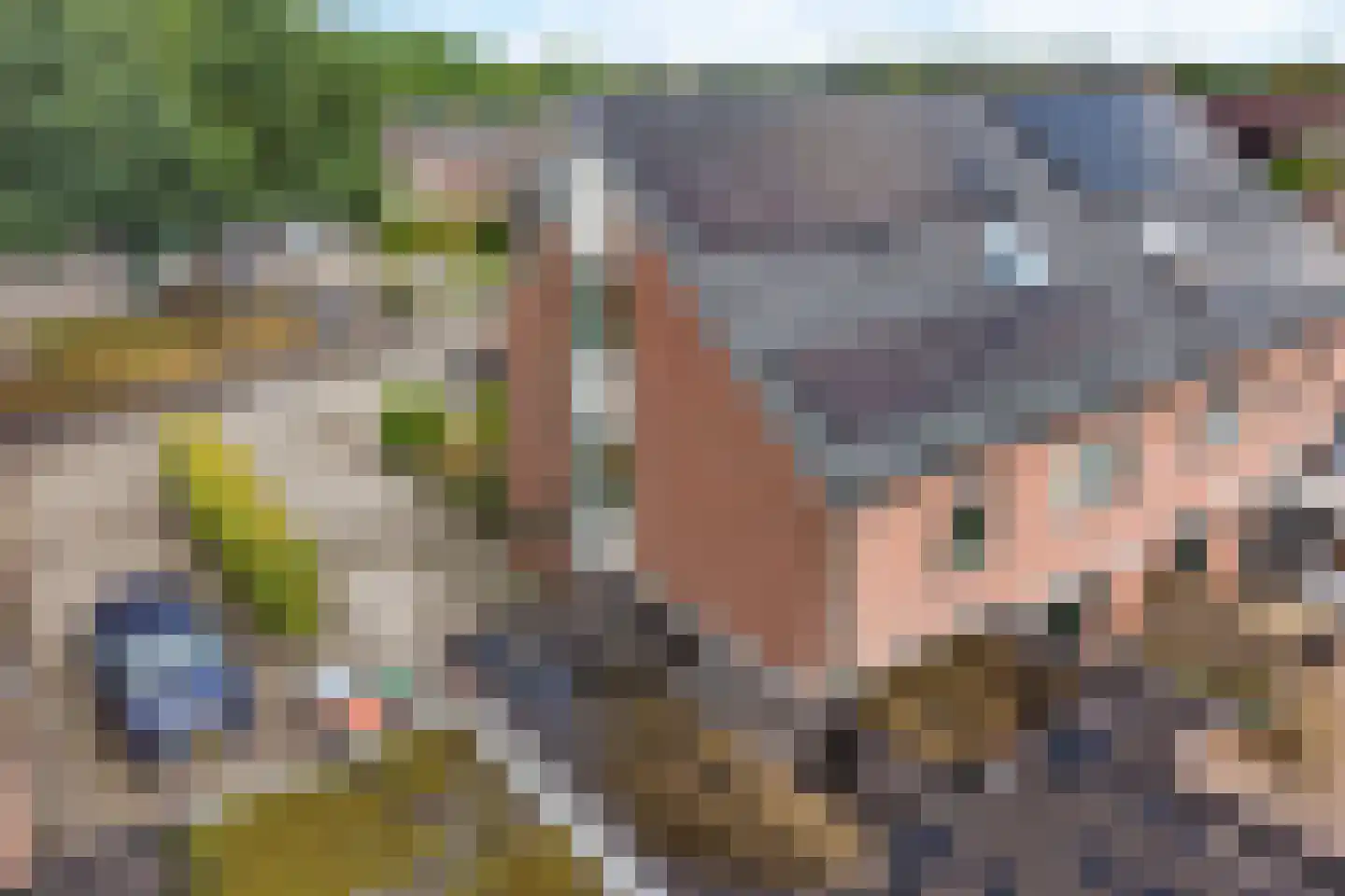 Staartmees 23 Emmen thumbnail 43