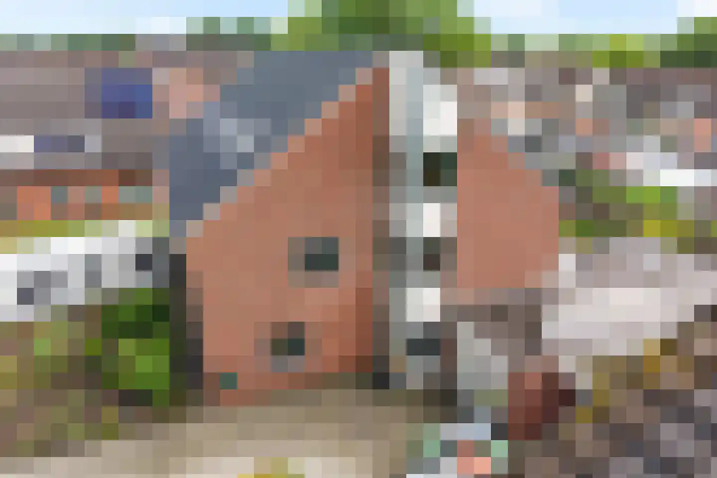 Staartmees 23 Emmen thumbnail 44