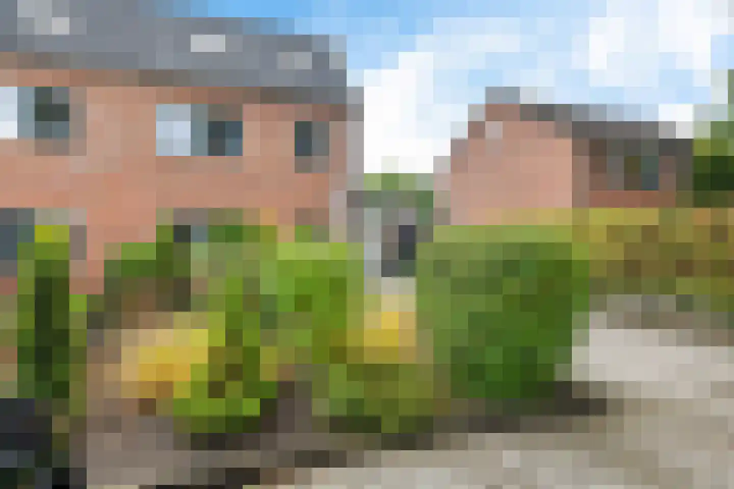Staartmees 23 Emmen thumbnail 49