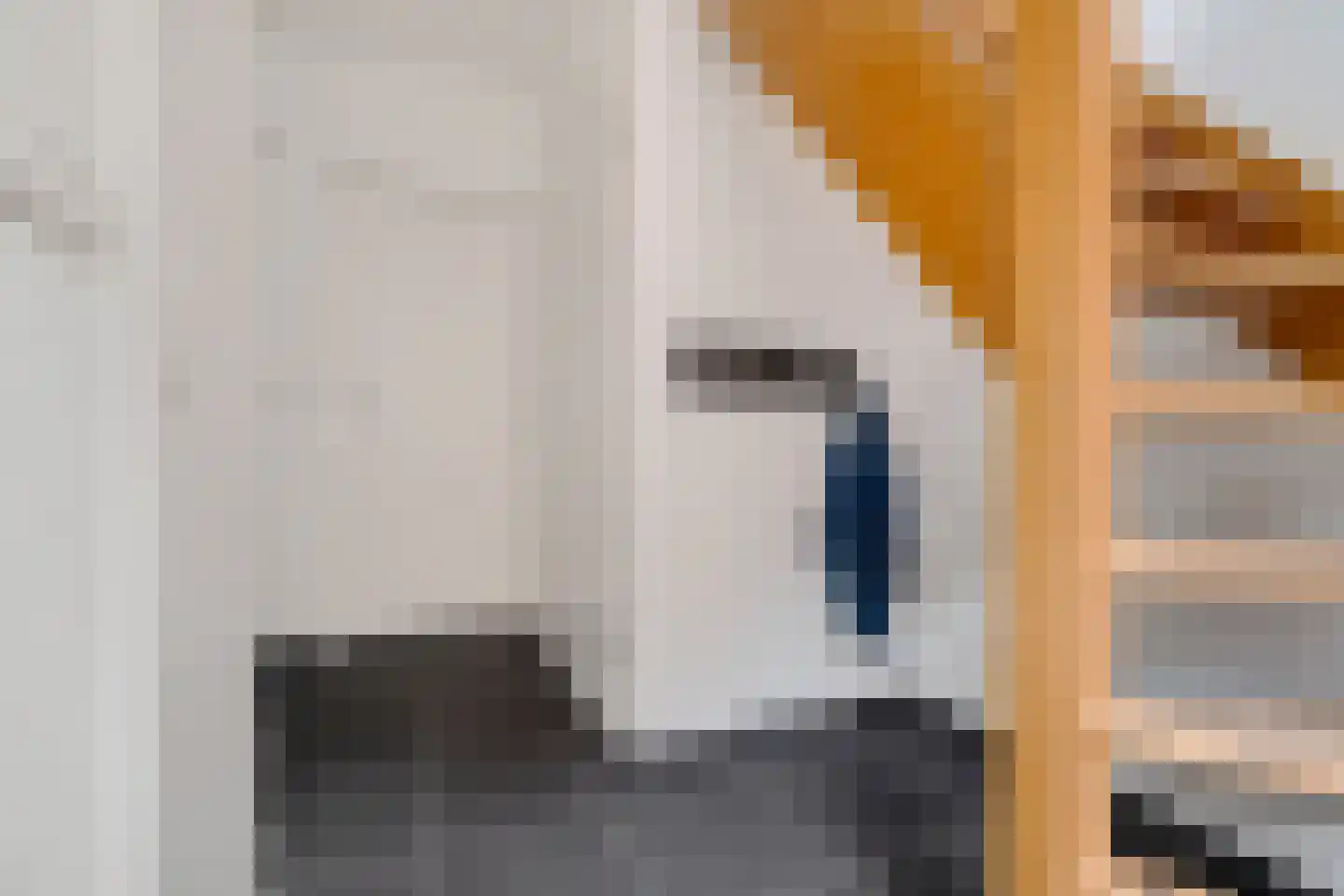 Staartmees 23 Emmen thumbnail 5