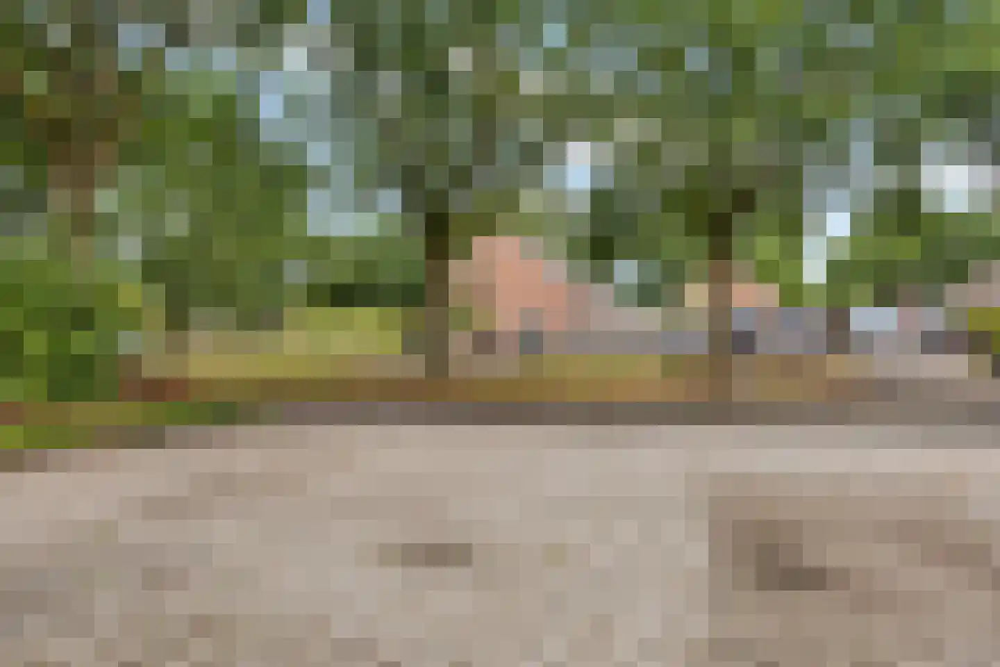 Staartmees 23 Emmen thumbnail 50