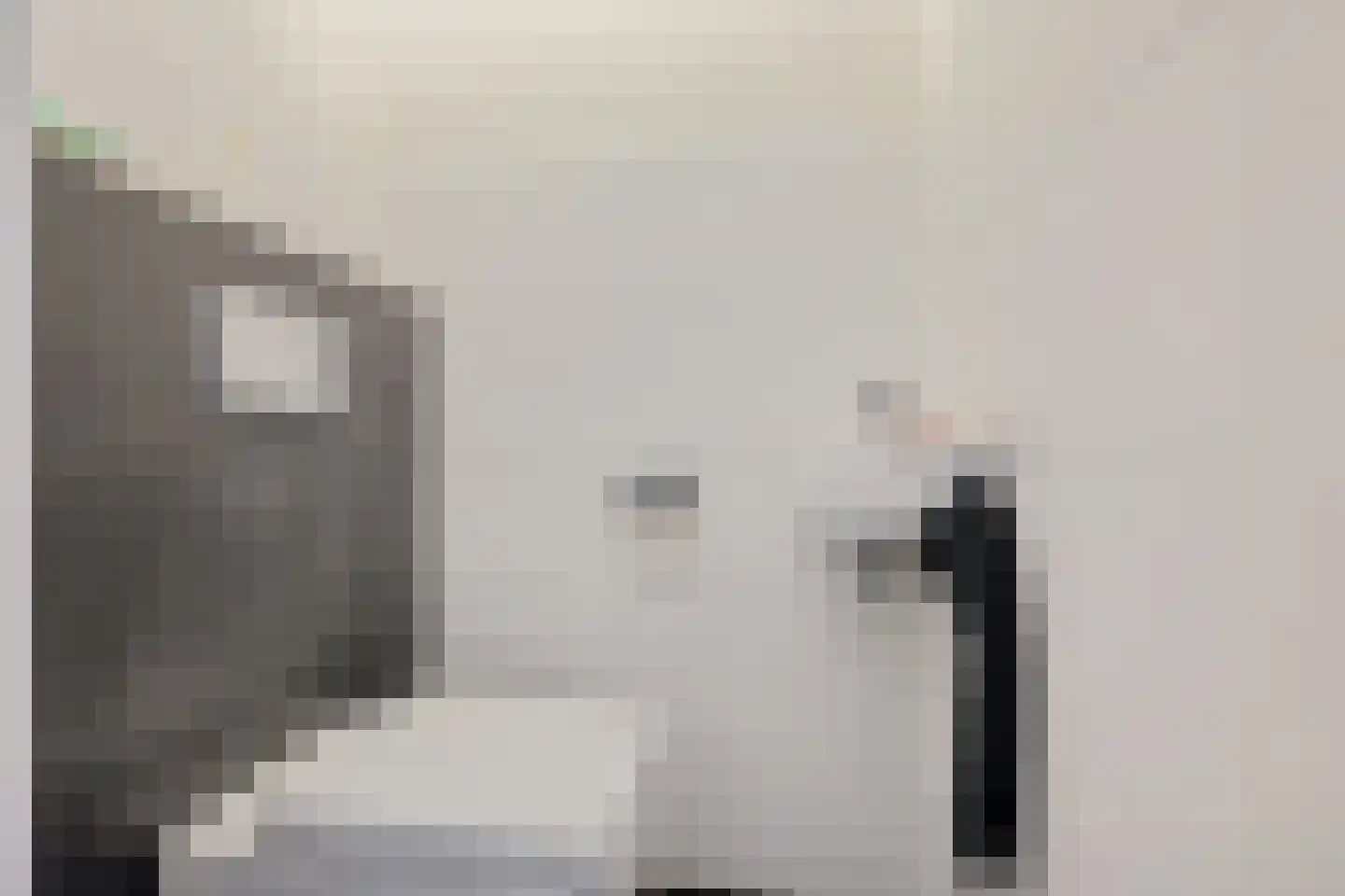 Staartmees 23 Emmen thumbnail 6