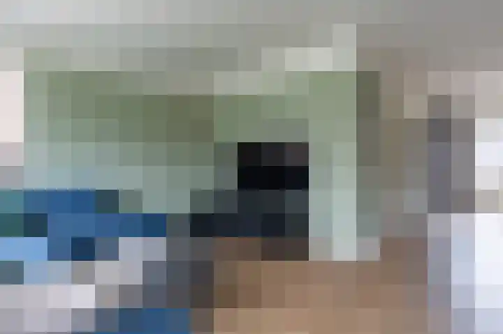 Staartmees 26 Emmen thumbnail 11
