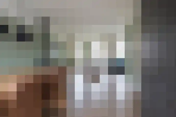 Staartmees 26 Emmen thumbnail 12