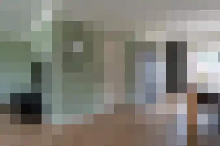 Staartmees 26 Emmen thumbnail 14