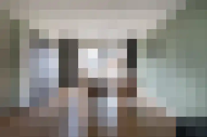 Staartmees 26 Emmen thumbnail 15