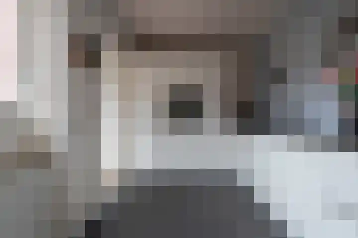 Staartmees 26 Emmen thumbnail 17