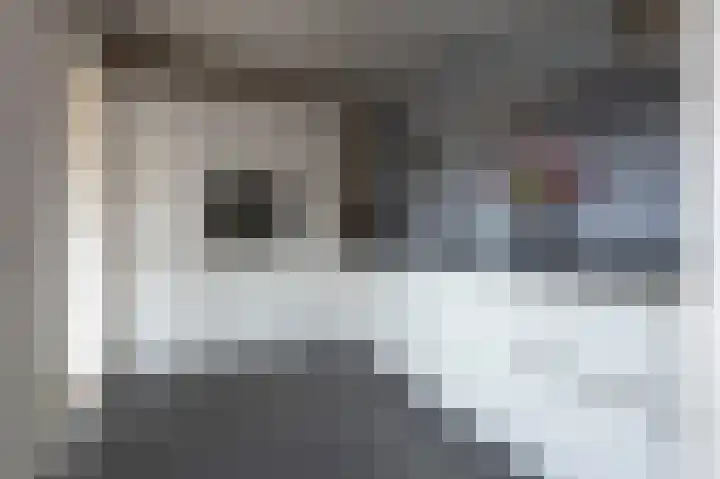 Staartmees 26 Emmen thumbnail 18