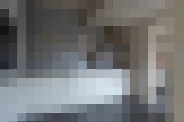 Staartmees 26 Emmen thumbnail 19