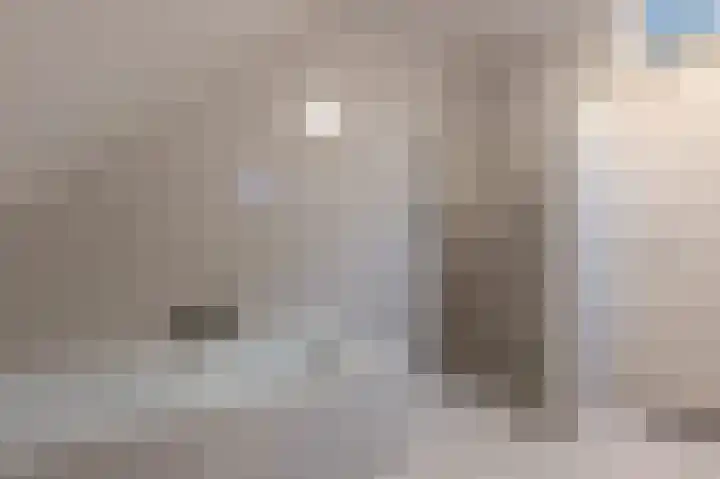 Staartmees 26 Emmen thumbnail 25