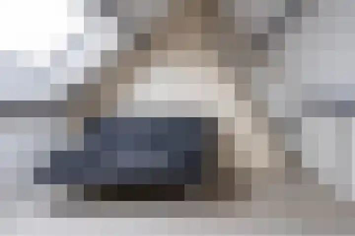 Staartmees 26 Emmen thumbnail 28