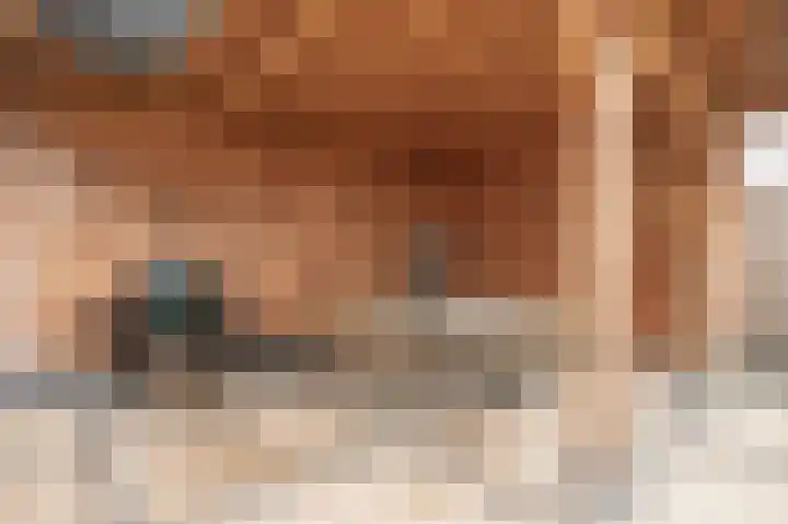 Staartmees 26 Emmen thumbnail 29