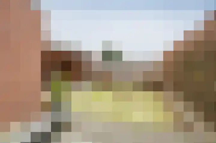 Staartmees 26 Emmen thumbnail 30