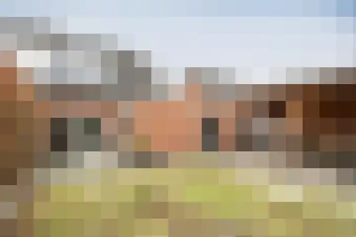 Staartmees 26 Emmen thumbnail 31