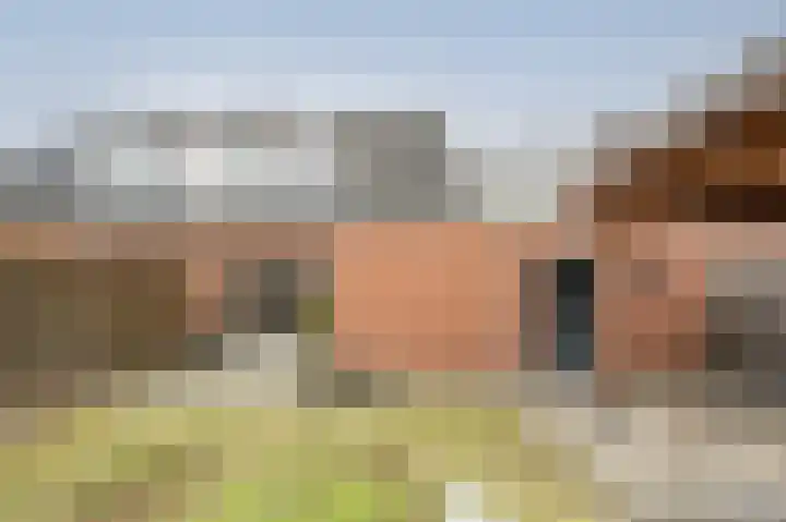 Staartmees 26 Emmen thumbnail 32