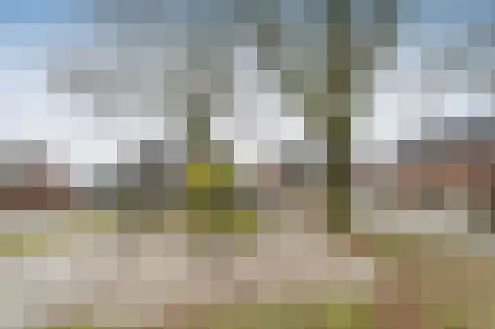 Staartmees 26 Emmen thumbnail 33