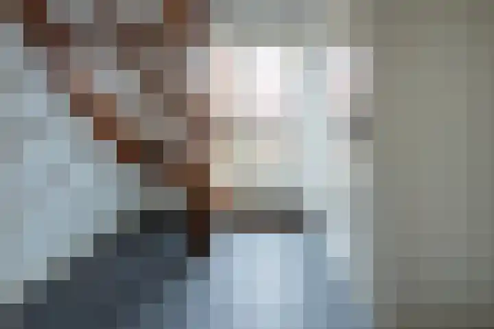 Staartmees 26 Emmen thumbnail 4