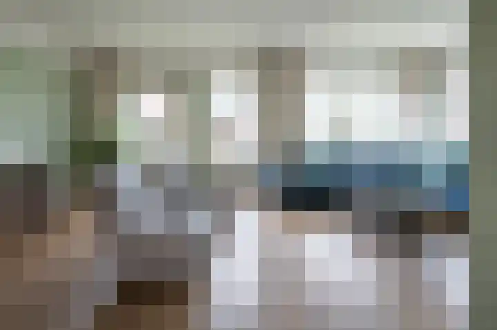 Staartmees 26 Emmen thumbnail 6