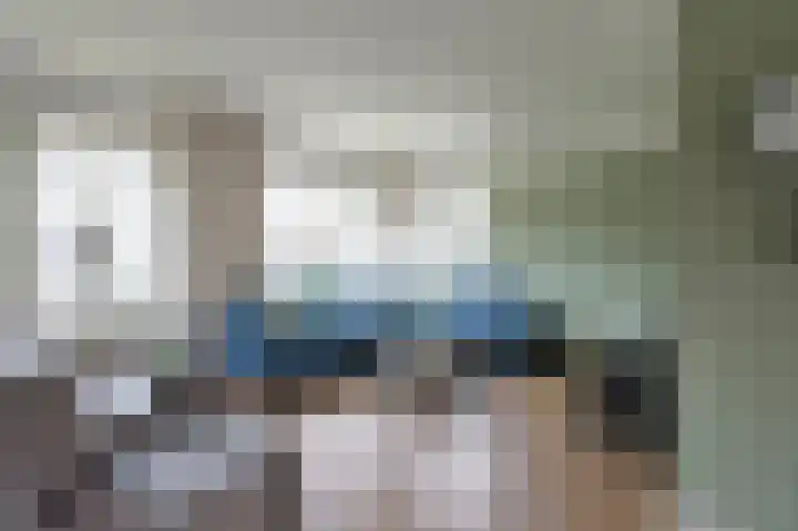 Staartmees 26 Emmen thumbnail 7