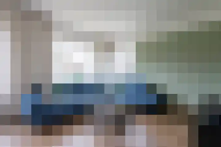 Staartmees 26 Emmen thumbnail 8