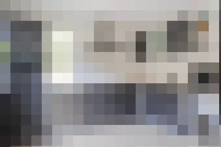 Staartmees 4 Emmen thumbnail 10