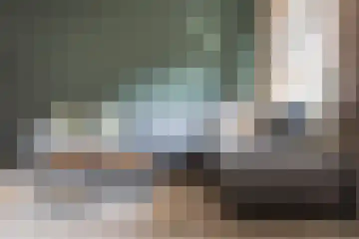 Staartmees 4 Emmen thumbnail 14