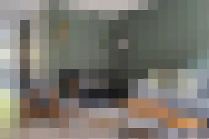 Staartmees 4 Emmen thumbnail 17