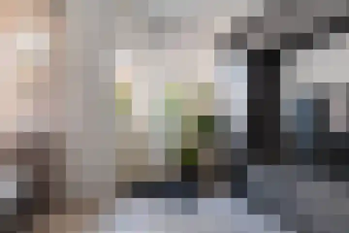 Staartmees 4 Emmen thumbnail 19