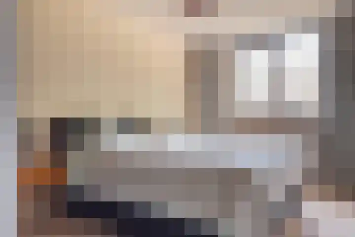 Staartmees 4 Emmen thumbnail 24