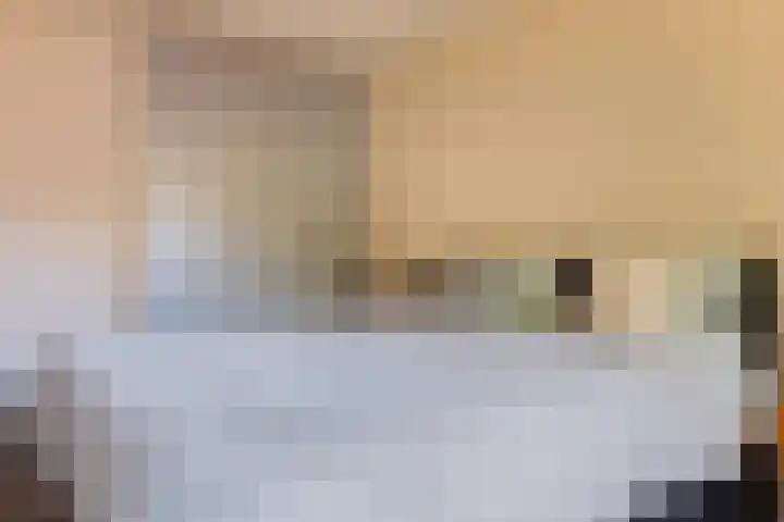 Staartmees 4 Emmen thumbnail 25