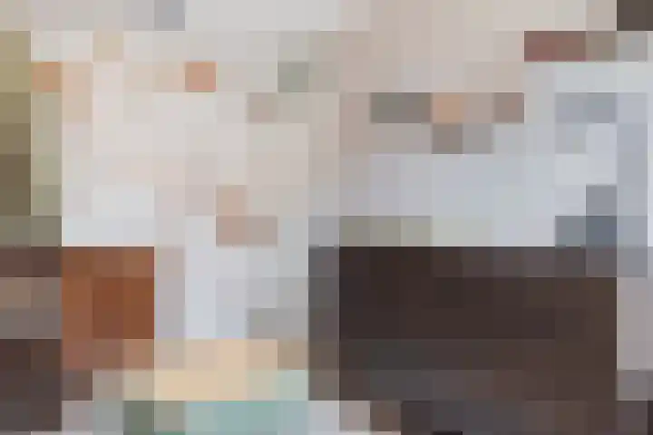 Staartmees 4 Emmen thumbnail 28