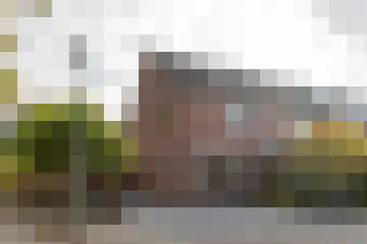 Staartmees 4 Emmen foto 3