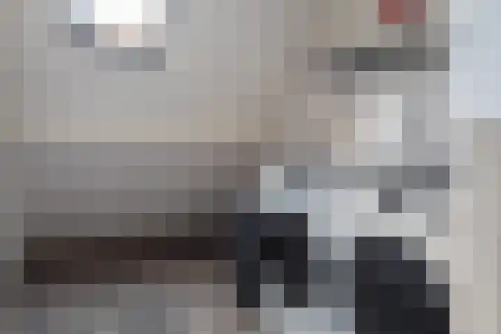 Staartmees 4 Emmen thumbnail 32