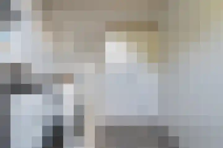 Staartmees 4 Emmen thumbnail 33