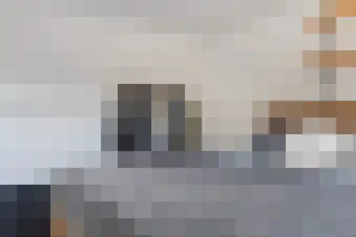 Staartmees 4 Emmen thumbnail 36