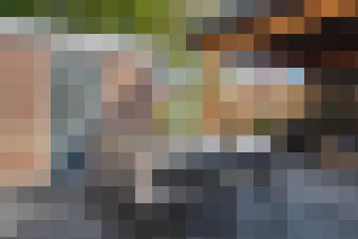 Staartmees 4 Emmen thumbnail 37