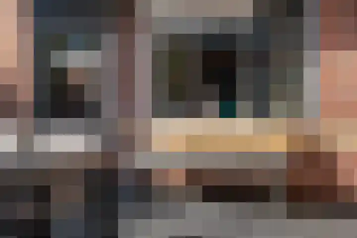 Staartmees 4 Emmen thumbnail 38