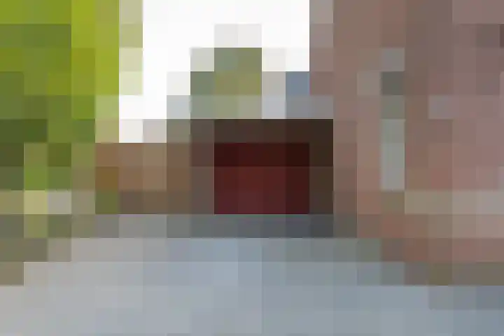Staartmees 4 Emmen thumbnail 4