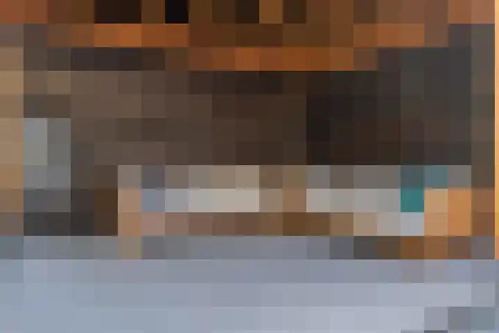 Staartmees 4 Emmen thumbnail 40