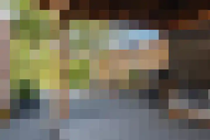 Staartmees 4 Emmen thumbnail 44