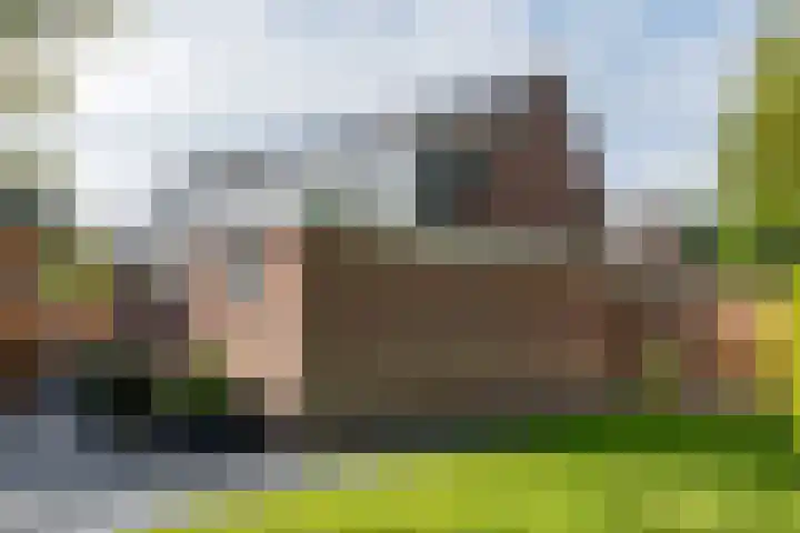Staartmees 4 Emmen thumbnail 46