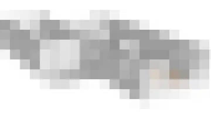 Staartmees 4 Emmen thumbnail 49