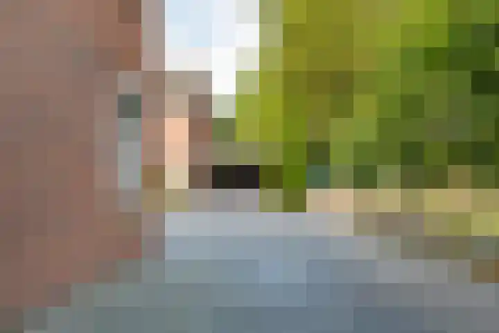 Staartmees 4 Emmen thumbnail 5