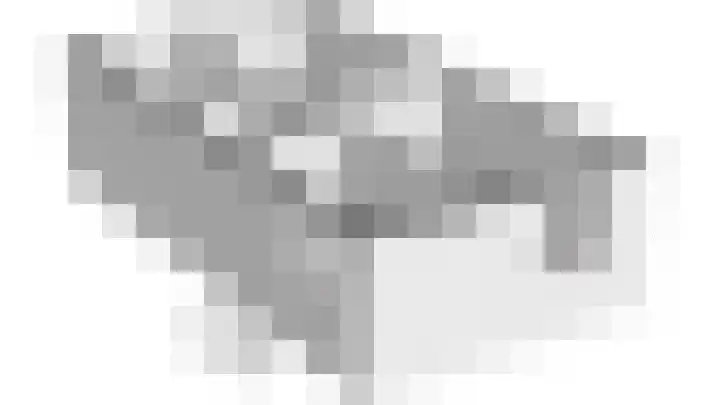 Staartmees 4 Emmen thumbnail 51