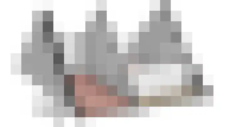 Staartmees 4 Emmen thumbnail 53