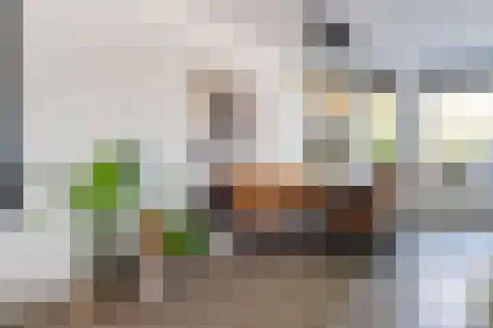 Staartmees 4 Emmen thumbnail 8